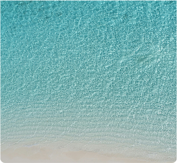 By John | Mar 19,2025 | 0 comments